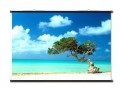 LGL RolloLUX - 400cm x 300cm - Panorama-Leinwand/ Mietpreis pro 24 Std.
